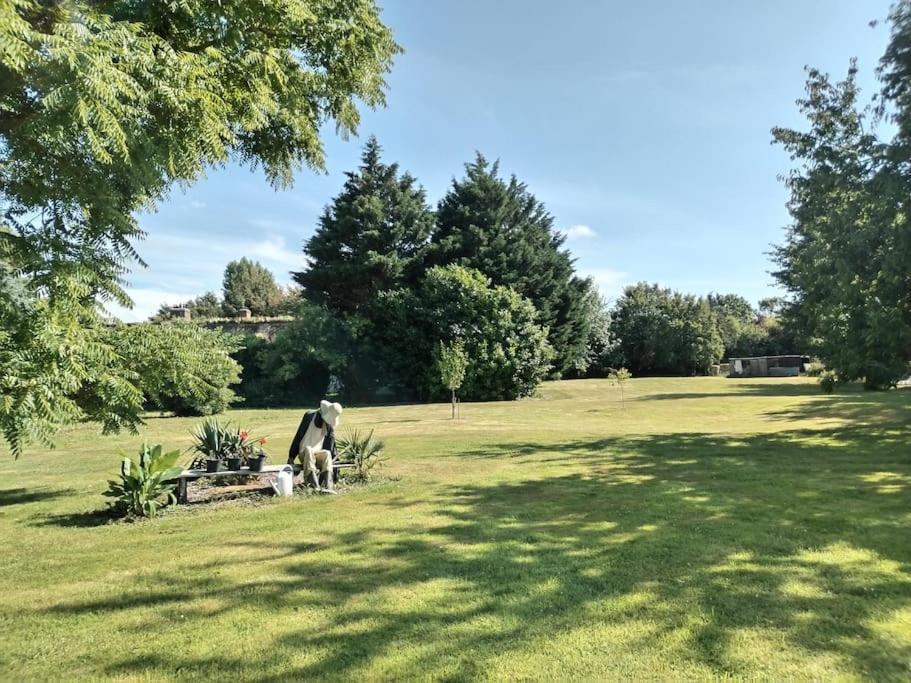 Domaine Des Cerisiers Apartment Berville-sur-Mer Exterior foto